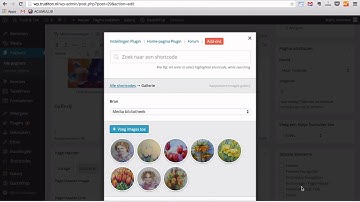 WordPress gallery maken met Shortcodes Ultimate