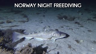 Northern Norway Night Freediving