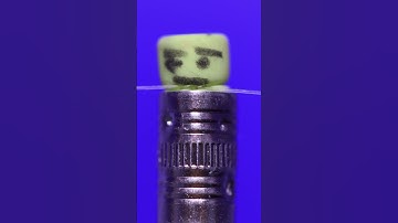 Eraser vs Fishing Line ASMR close up/macro #macro #asmrvideo #satisfying #satisfyingasmr #closeup