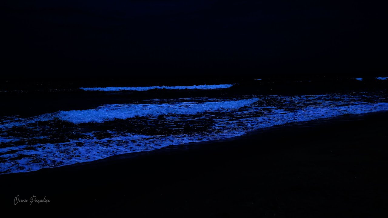 Sonno profondo con le onde del mare notturno, suoni dell'oceano per ...