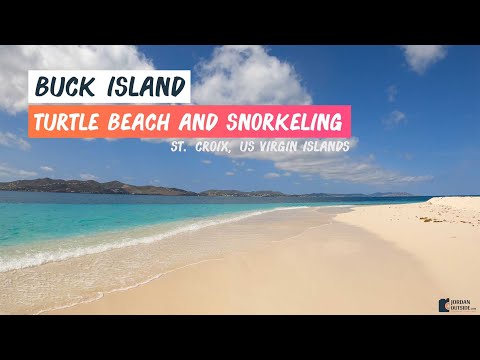 Video: Snorkeling en el Monumento Nacional Buck Island, St. Croix