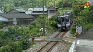 [4K60P] N2000系　特急うずしお10号　紫陽花のある踏切にて