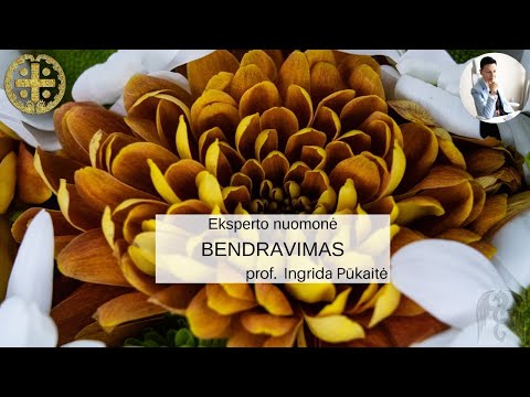 Video: Kas Yra Bendravimas