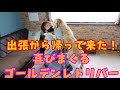 おかえり！にーちゃーん！！