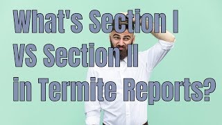 Termite Reports Section I VS Section II. 🤷‍♂️ What's the difference