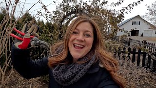 Pruning Climbing Roses! 🌹✂️🌿 // Garden Answer