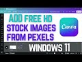 How to Add Free Pexels Stock Images in Canva | use Pexels Stock Photos in Canva (2025 Tutorial)