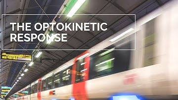 The Optokinetic Response