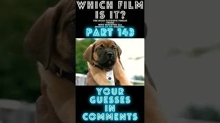 English Bullmastiff | Michael - Which Film is it? Part 143 #shorts #bullmastiff #michael