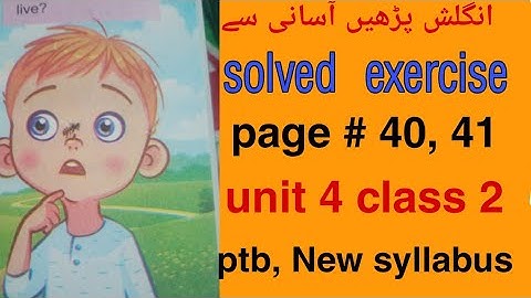 Bee on my nose unit 4| ptb english grade 2 | page 40 41 | solved exercise | Snc english class 2