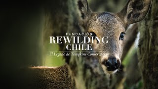 Rewilding Chile, el legado de Tompkins Conservation