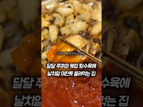 대전 쭈꾸미 맛집, 쭈미당에서 반한 쭈꾸미 탕수육 #쭈미당 #대전맛집 #대전여행 #세웅이형 ✅세웅이형 구독하고 대전맛집 소식 받아가세요.