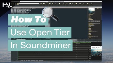 How To Use "Open Tier" in Soundminer