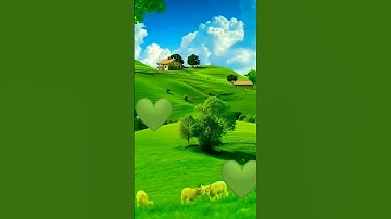 سوره قريش بصوت القارئ الشيخ ياسر الدوسري #المصحف