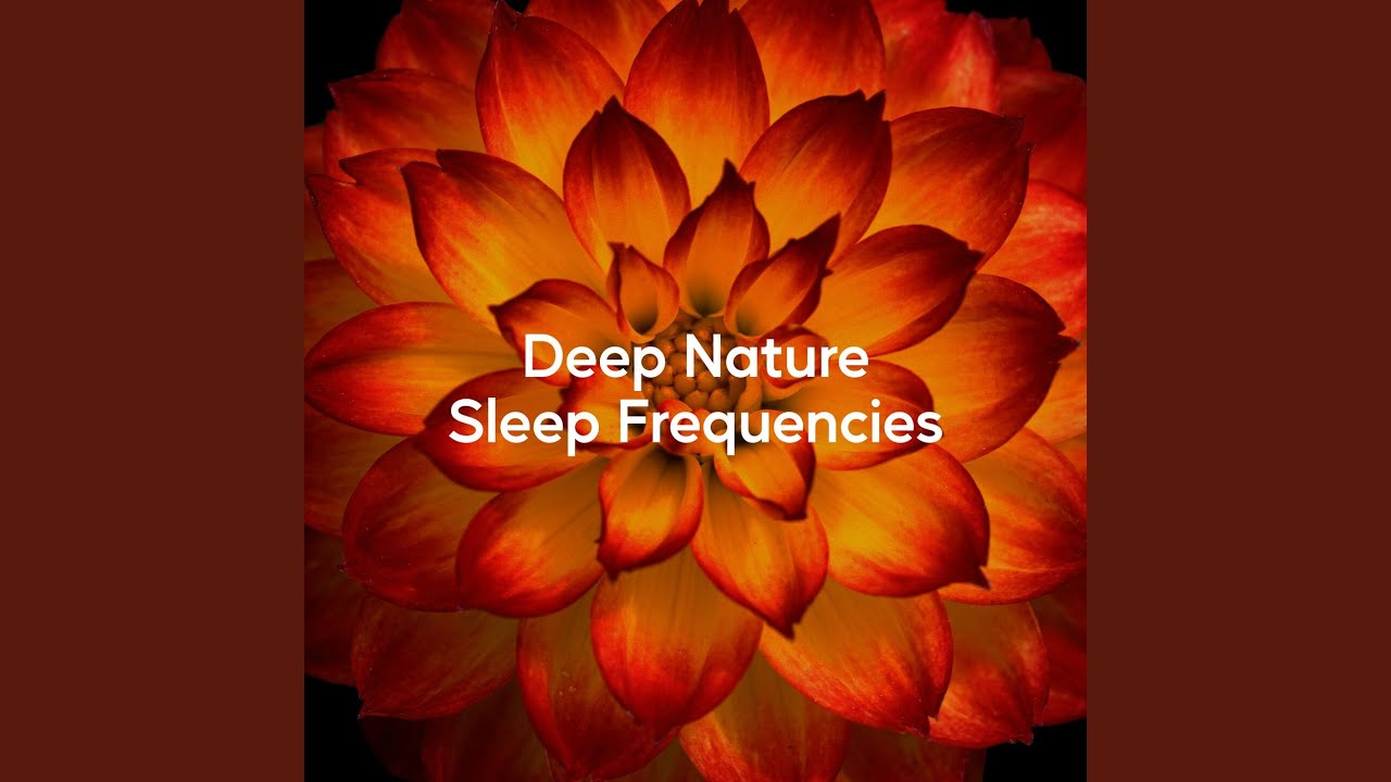 Forest Night Serenity (Loopable) adlı videoyu YouTube'da izle Forest Night Serenity (Loopable) adlı videoyu YouTube'da izle