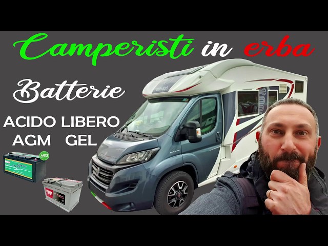 Additivo Benzina Batteria Accumulo Desolfatore Per Batterie A Piombo, AGM, GEL - Rigenera E Mantiene Batterie Auto, Solar, Camper, 12V-48V Automatico Pulitore Impulsi Batterie Desolfatore Automatico 12V-48V - 5