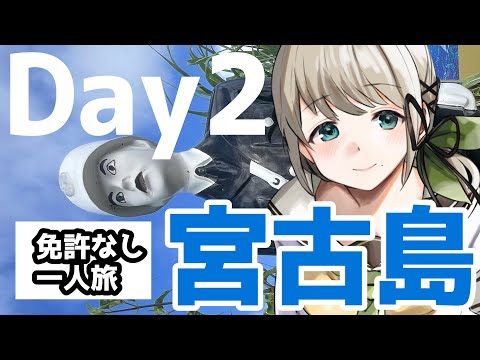 🌺 #宮古島 免許なし一人旅！Day2ですわ～！　#Vtuber #旅行 #ダイビング #沖縄 #サイクリング #マンゴー