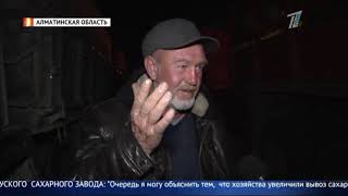 Сельхозпроизводители сутками не могут сдать свеклу на сахарный завод!