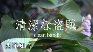 【資訊欄】Clean Bandit 潔淨的盜賊 ft. Jess Glynne 潔西格琳 /. Rather Be 無處甚比 中文字幕(Taiwanese/Chinese Sub)