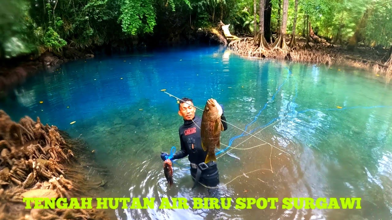 DI TENGAH HUTAN TAPI IKANNYA BLACK BASS DAN MANGROVE JACK