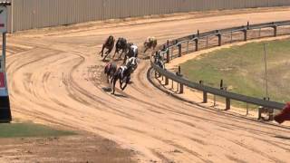 Mt-Gambier-05022016-Race-8