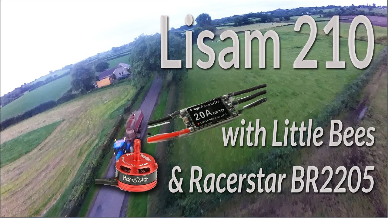 Lisam 210 with 20a Little Bees and Racerstar BR2205 2300KV motors - from BangGood.com