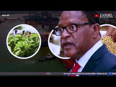 MALAWI CROSS BORDER TRADE CRISIS