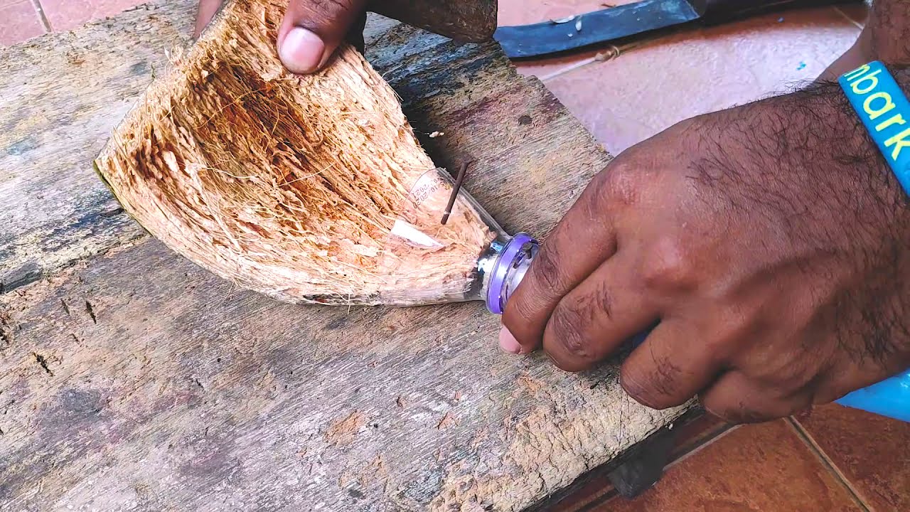 Easy Homemade Coconut Husk Brush