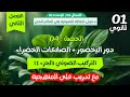 اولى ثانوي الحصة 4 التركيب الضوئي الجزء الاول دور اليخضور والصانعات الخضراء تدريب على المنهجية 