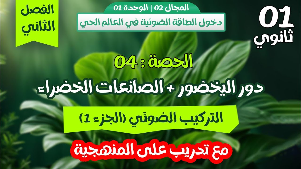 اولى ثانوي🏅الحصة 4 : التركيب الضوئي 👌الجزء الاول🔥 دور اليخضور والصانعات الخضراء+ تدريب على المنهجية