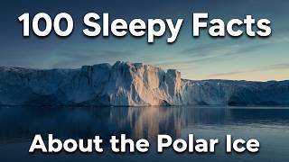 The Most Relaxing Facts About the Polar Ice to Fall Asleep To screenshot 5