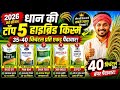 ध न क ट प 5 ह इब र ड क स म 2026 Dhaan Ki Best Variety 2026 Highest Yield Paddy Variety 