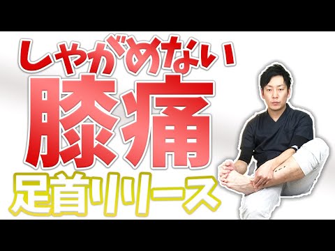 しゃがんだ際の膝の痛みを解消する足首の調整方法【膝の痛み 治し方】渋谷区恵比寿の整体院蒼