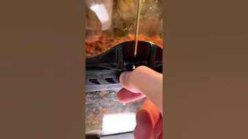 Какие бывают змеи