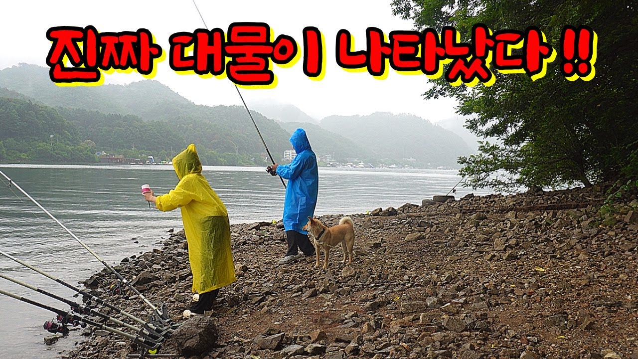 장마가 시작되면 전설의 대물이 움직인다 !!!