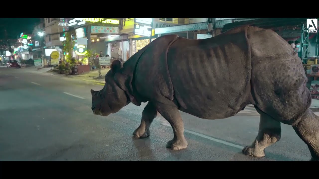 Chitwan National Park | Into The Wild | Exploring Sauraha