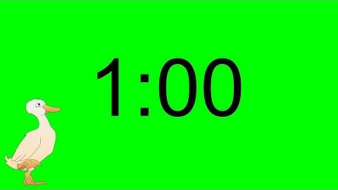 Duck Timer- One minute