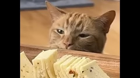 How to create Enemies with the BG3 Toolkit