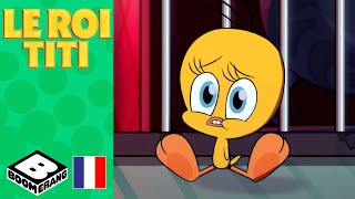 Le Roi Titi | Cinestar Spécial été - Le Roi Titi - YouTube