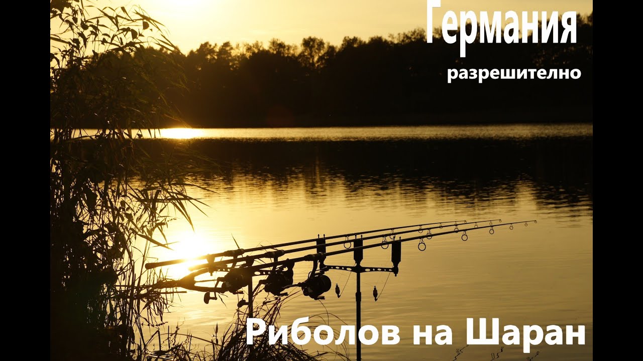 РИБОЛОВ НА ШАРАН В ПЛИТЪК ВОДОЕМ В ГЕРМАНИЯ