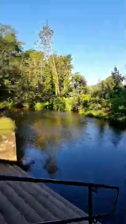 Earlham Park fishing