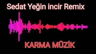 Sedat Yeğin - incir (dj İlkan günüç Remix