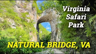 Natural Bridge, Va |  Virginia Safari Park by Chosen Adventures 1,928 views 1 year ago 22 minutes