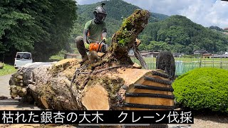 額縁YATAYA・廃盤・桜の大木・値下げ 額縁YATAYA・廃盤・桜の大木・値下げ