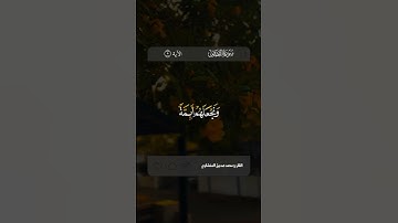 القارئ#محمد_صديق_المنشاوي «رحمه الله» #سورة_القصص الآية ٥ #القرآن_الكريم #quran