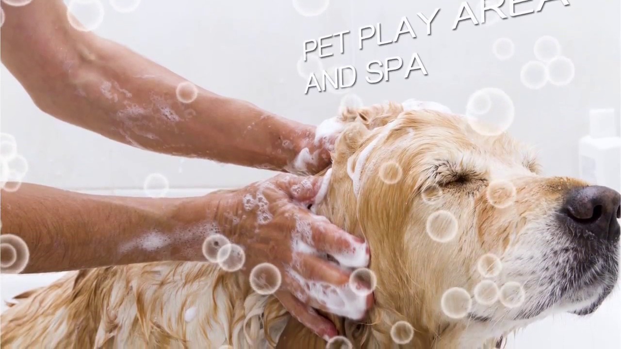 The LakeShore Condos by Concord Adex