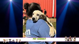 Pet Connect - 4/24/2024