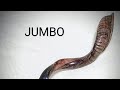 Toque de shofar de 1,07mt