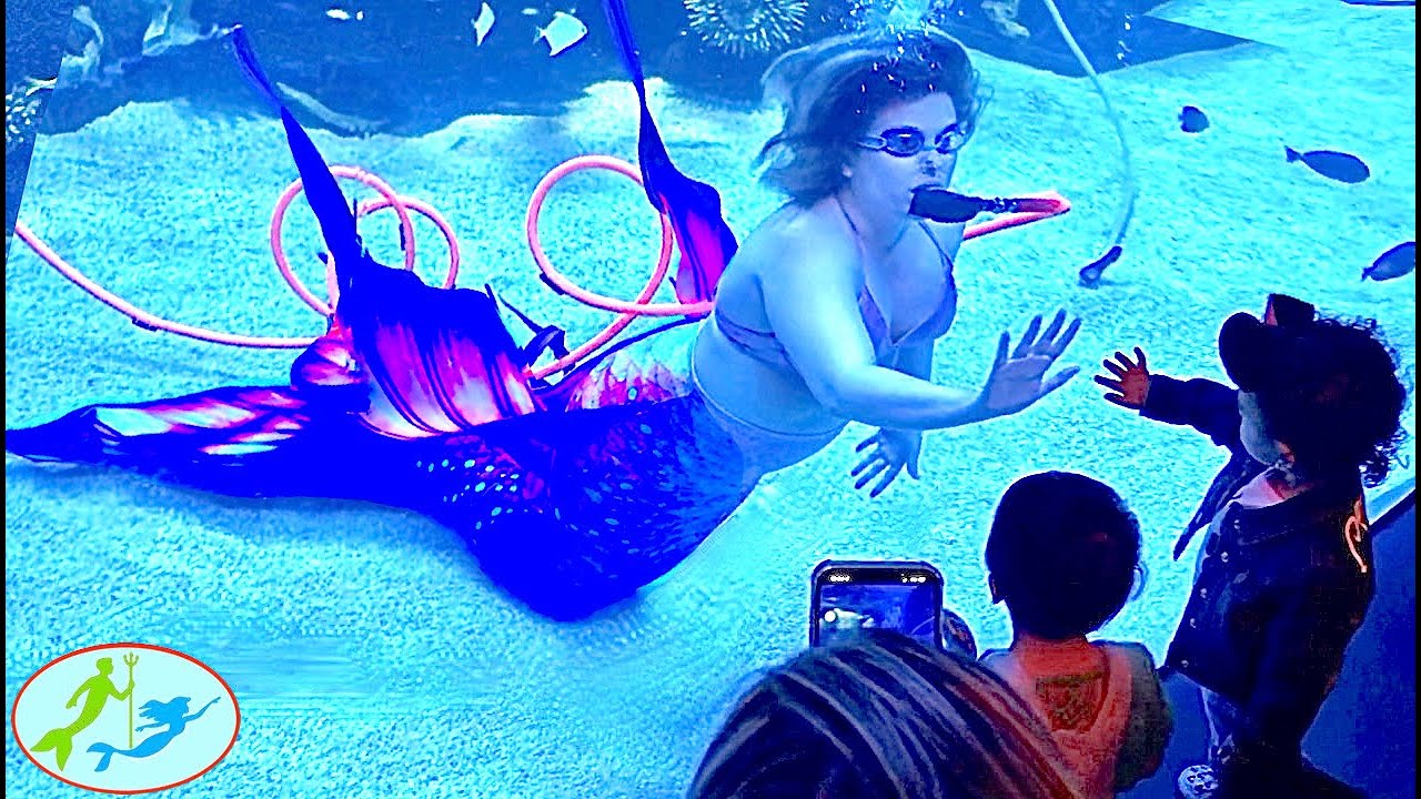 Mermaid Swimming in Aquarium Las Vegas Theekholms YouTube