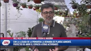 FULL SPRING AT THE 'EL RUISEÑOR' NURSERY